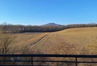 Ausblick zur Landeskrone