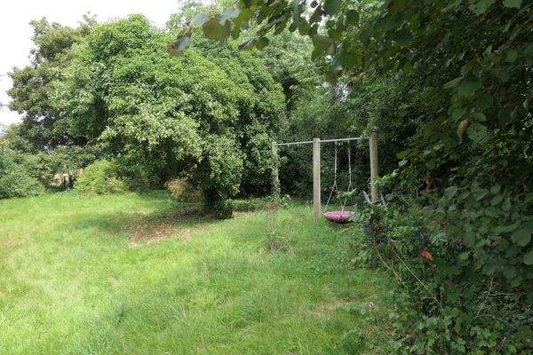 Blick in den urwüchsigen Garten