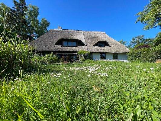 Sicht aus dem Garten