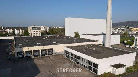 Ettlingen Halle, Ettlingen Hallenfläche