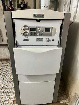 Groß (IMG_2489).jpeg