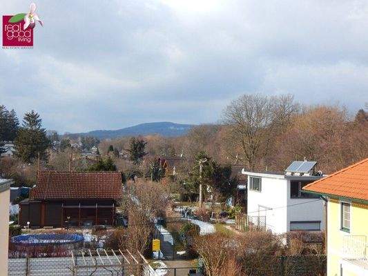 13, Kalmanstraße Aussicht 1