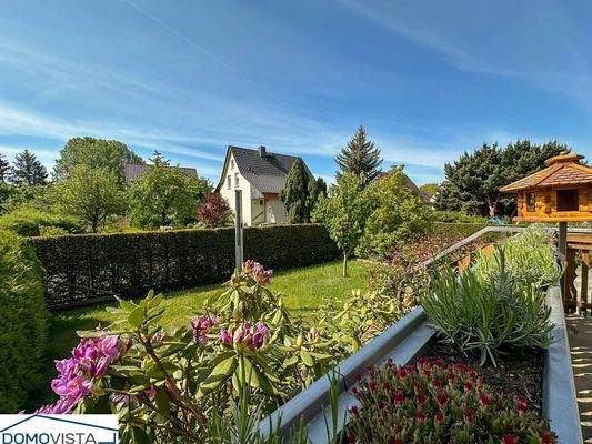 6. Blick von der Terrasse