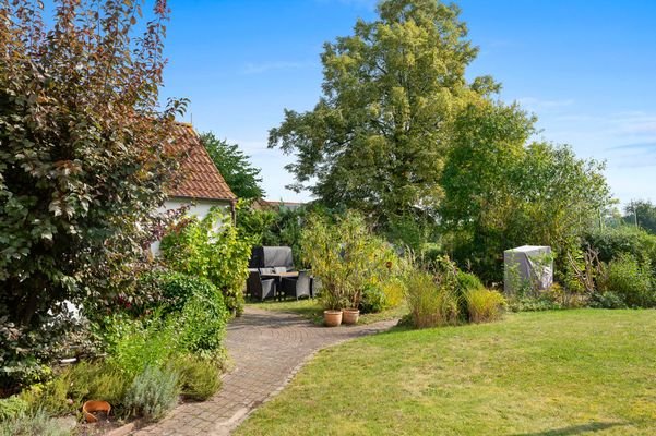 Garten_4