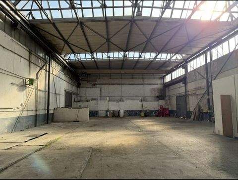 Hamm Halle, Hamm Hallenfläche