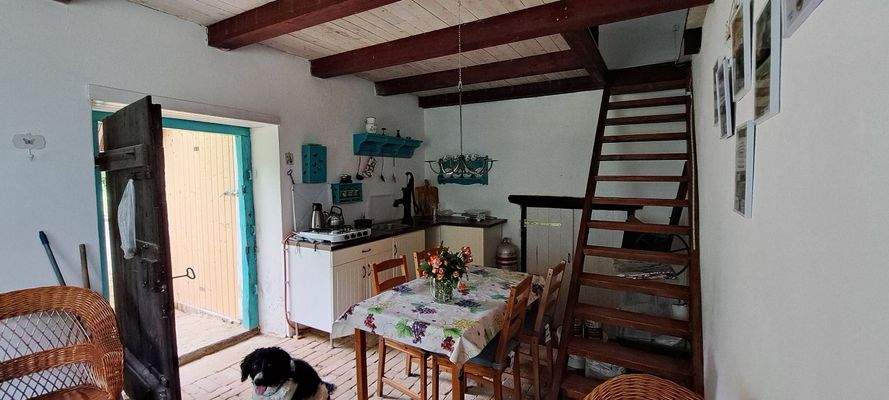 WhatsApp Image 2025-10-22 at 14.12.47 (2).jpeg