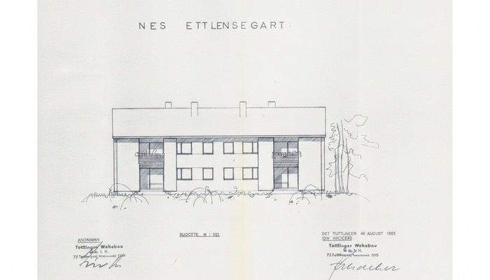 Schnitte Rückseite hell
