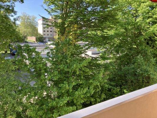 Blick ins Grüne vom Balkon