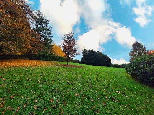 Oberer Gartenbereich