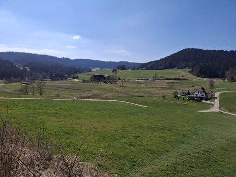 Lauterbach Ortsteil: Sulzbach Häuser, Lauterbach Ortsteil: Sulzbach Haus kaufen