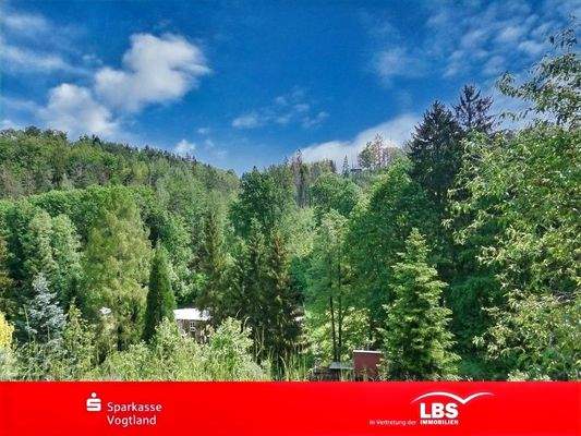 Der Ausblick ins Grüne!