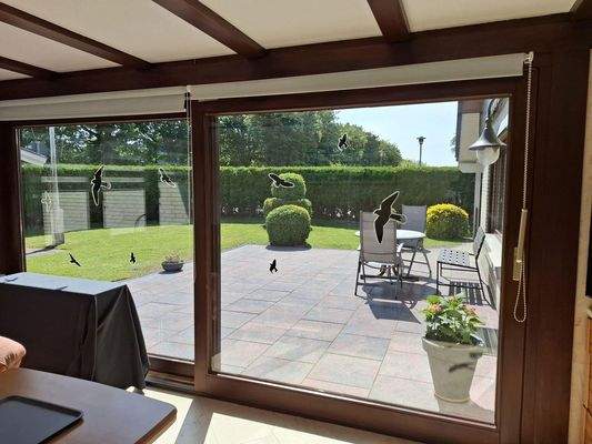 Blick aus dem Wintergarten