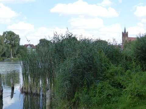 Müncheberg Bauernhöfe, Landwirtschaft, Müncheberg Forstwirtschaft