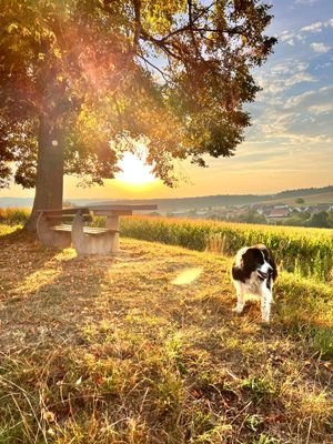 Impression Natur um Egringen 1.jpeg
