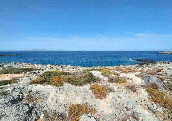 Kreta, Stavros: Grundstücke direkt am Meer mit Blick auf den Sonnenuntergang zu verkaufen