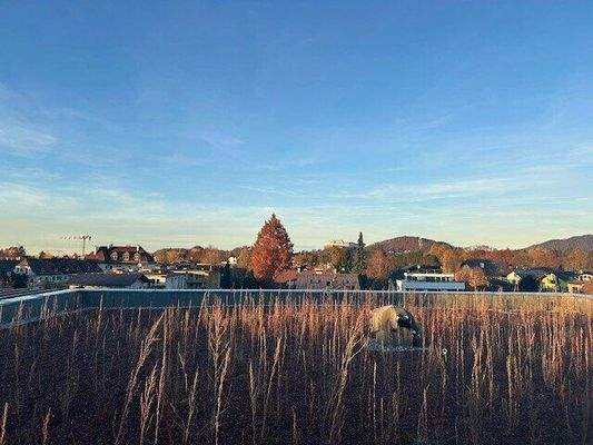 Aussicht Dachterrasse 2