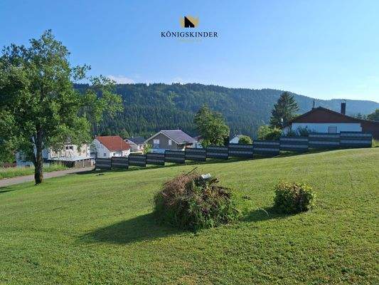 ... tolle Aussicht...