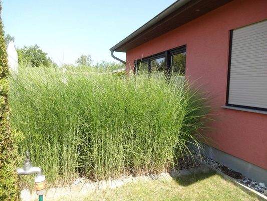 Rechte Vorderansicht