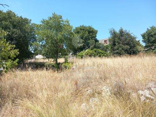  Vielfältiges Bau- & Landwirtschaftsareal im Inselinneren