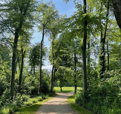 Vorgebirgspark in direkter Nähe