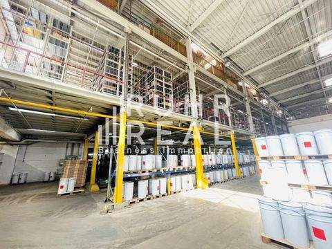 Ennepetal Halle, Ennepetal Hallenfläche