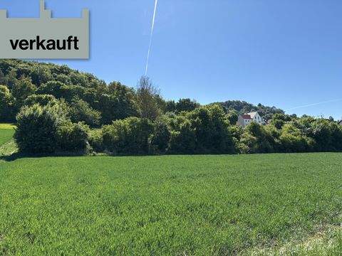 Velburg Bauernhöfe, Landwirtschaft, Velburg Forstwirtschaft
