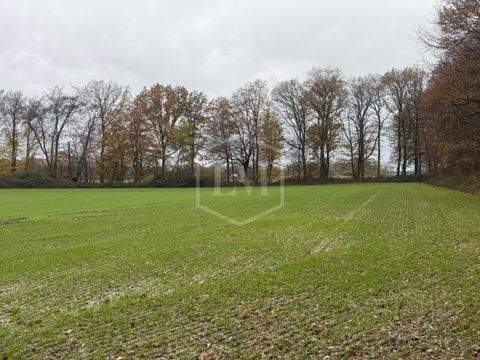 Viersen Bauernhöfe, Landwirtschaft, Viersen Forstwirtschaft