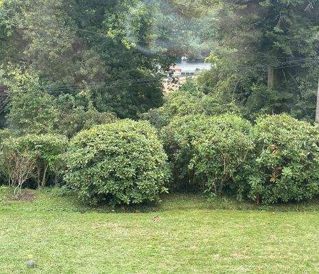 toller Weitblick bis zum See