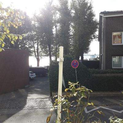 Elbblick mit Feederschiff