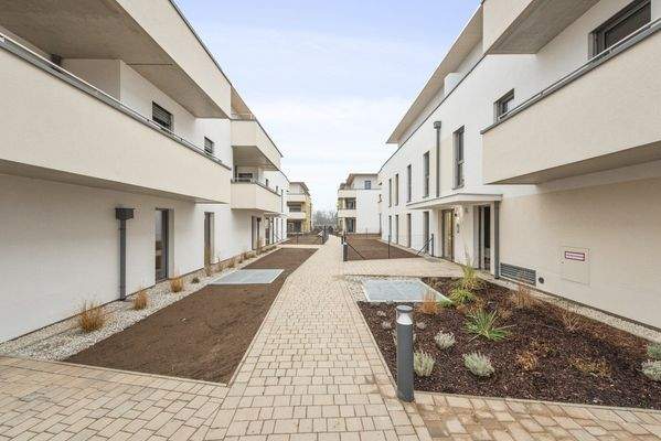 Bella Vita - Wiener Neustadt