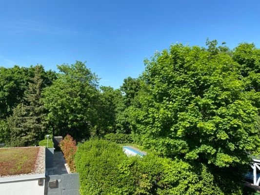Blick  