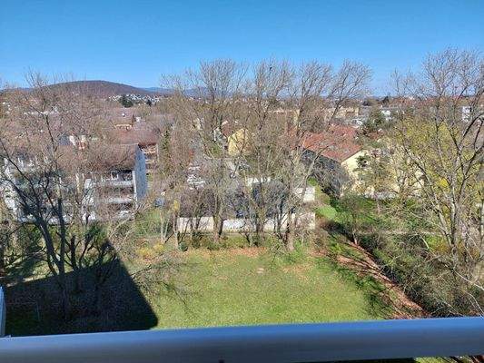 Ausblick vom Balkon in den Taunus