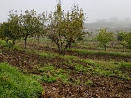 e31759f5-d5a7-4bcc-ae2a-bc2934446da8