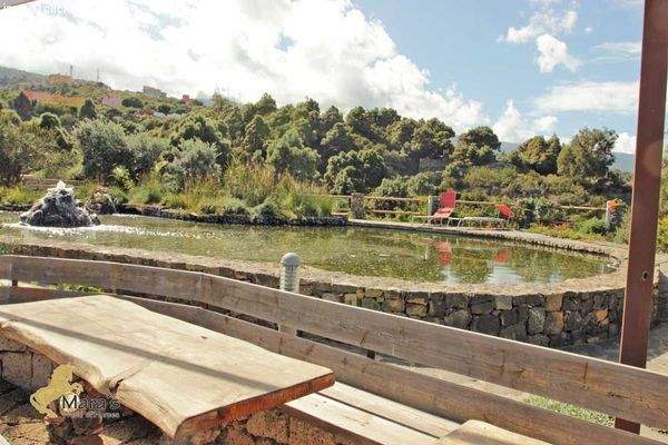 haus mit pferdestall und gästezimmer teneriffa zu verkaufen