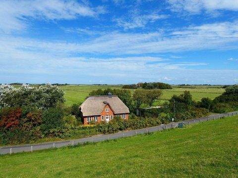 Westerhever Häuser, Westerhever Haus kaufen