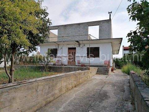 Murter-Kornati Häuser, Murter-Kornati Haus kaufen