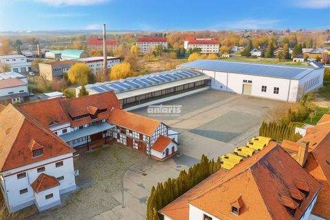 Kölleda Halle, Kölleda Hallenfläche