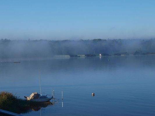 Auch im Nebel schön