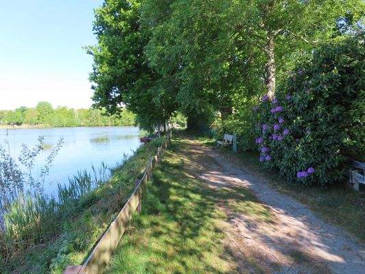 Weg am See