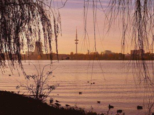 Alster
