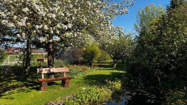 Garden with Blossoming Trees