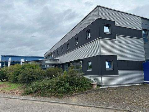 Waghäusel Halle, Waghäusel Hallenfläche