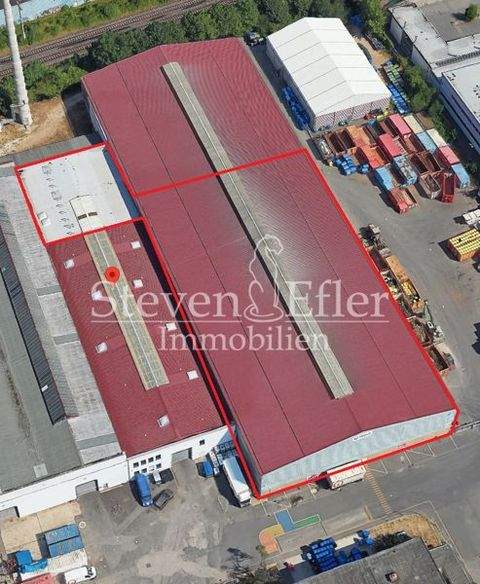 Nürnberg Halle, Nürnberg Hallenfläche