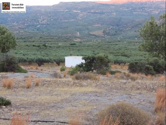 Olivenhain 25.000m² mit kleinem Haus
