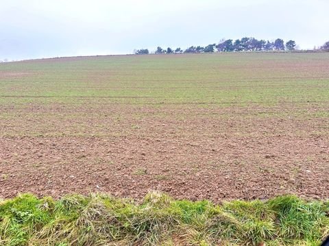 Nitz Bauernhöfe, Landwirtschaft, Nitz Forstwirtschaft