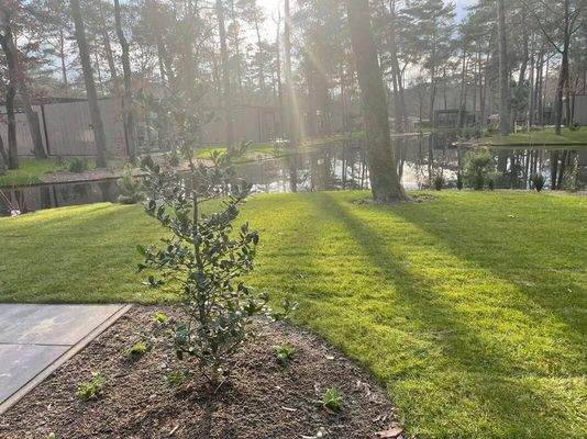 Ferienhaus Holland kaufen 014