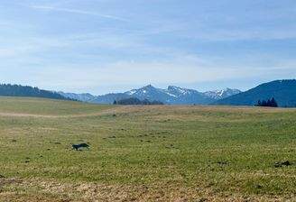 Die angrenzenden Wiesen mit Blick