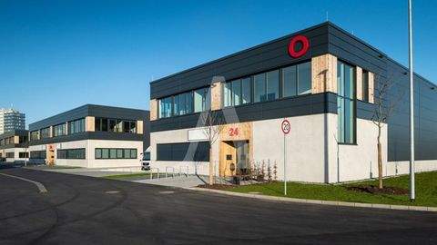 Düsseldorf Halle, Düsseldorf Hallenfläche