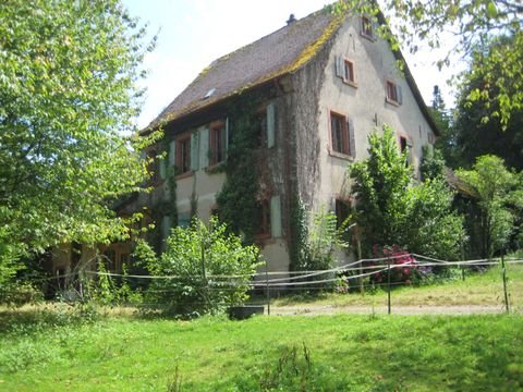 Kenzingen Häuser, Kenzingen Haus kaufen