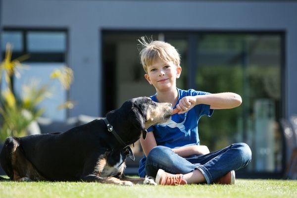 Bild 12